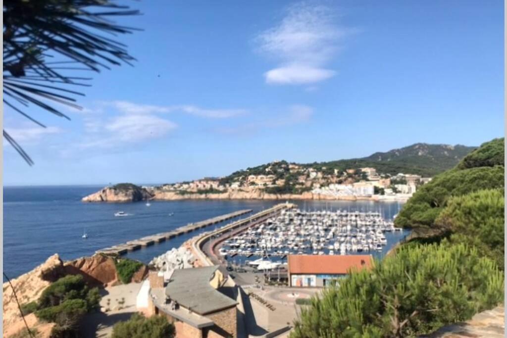Nuevo Apartamento Moderno Elisa - A 80 Metros De La Playa Para 5 Personas 桑特费柳德吉克索尔斯 外观 照片